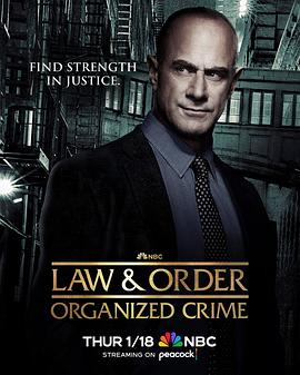 法律与秩序：组织犯罪第四季详情介绍-法律与秩序：组织犯罪第四季在线 